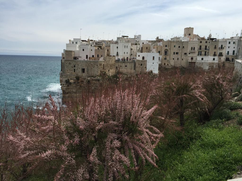 La Casetta 19 Polignano a Mare Szoba fotó